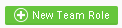 team role