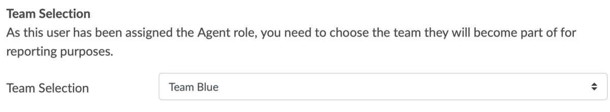 Team choice Puzzel QA